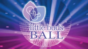 Little Buds Ball Cancelled